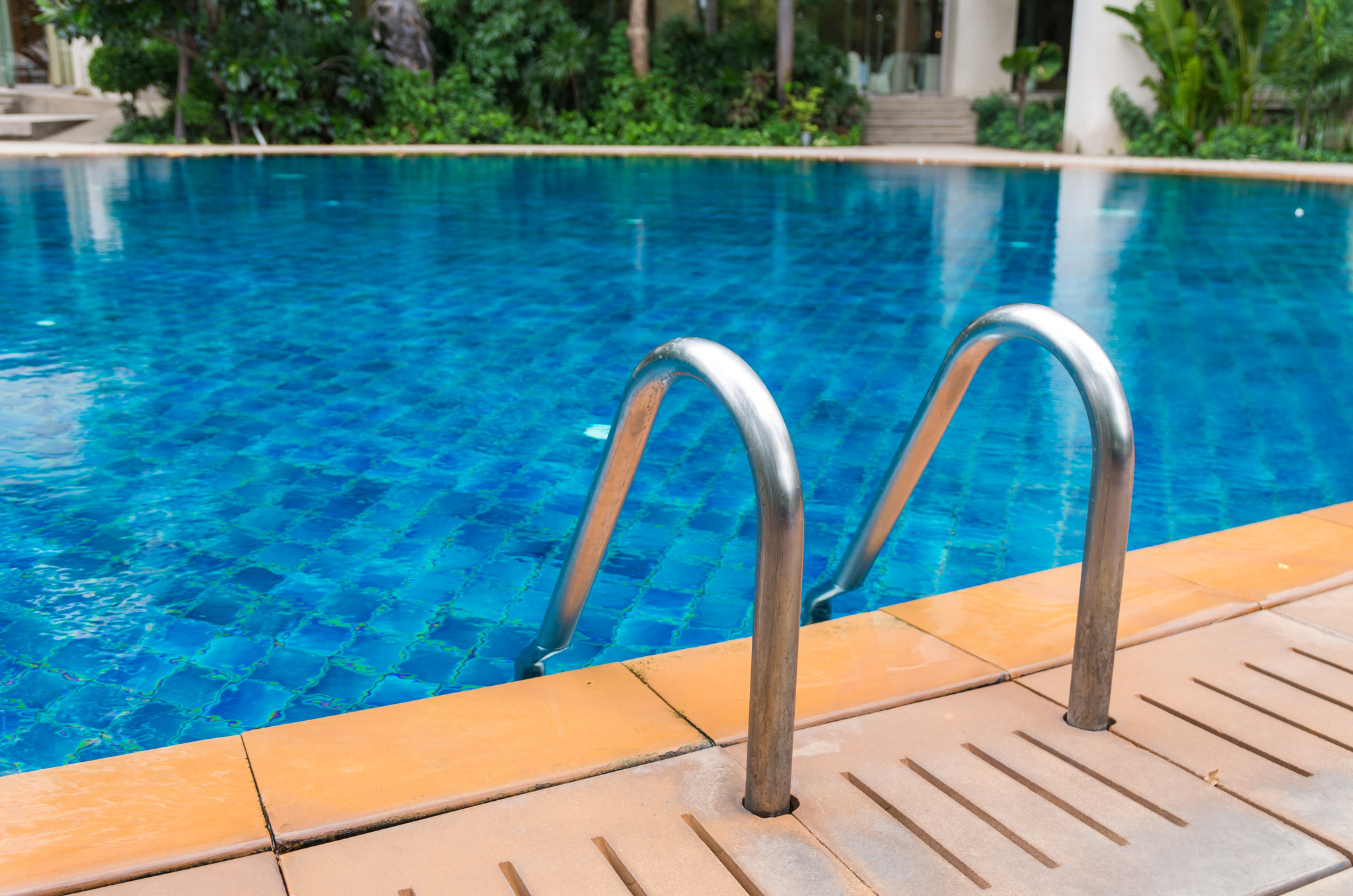 Luxury swimming pool with the garden